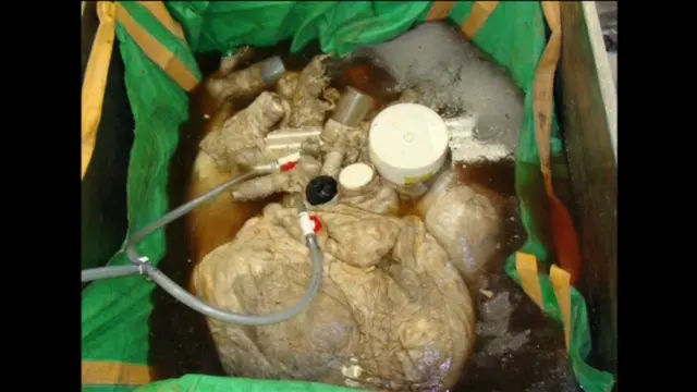 หัวใจวาฬ