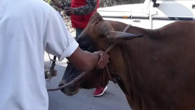 राज्य की कैबिनेट ने इसे मंज़ूरी दे दी है. अब इस कानून को आगामी सत्र में पेश किया जाएगा.