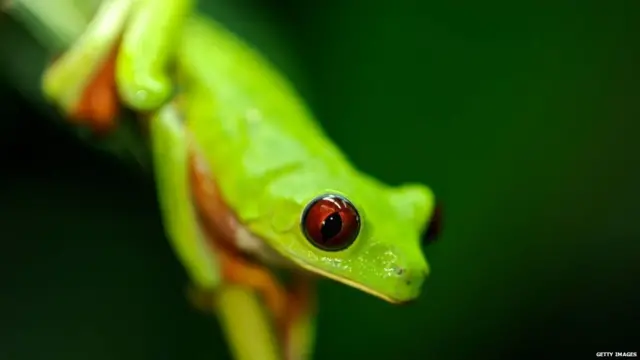 भ्यागुता