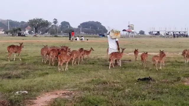 ආහාරයක් ඉල්ලමින් මිනිසකු පිටුපස