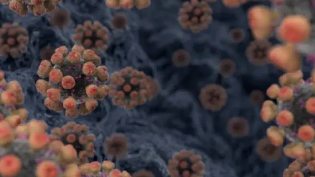 கோவிட் 19: ஏன் கொரோனா வைரஸ் மிகவும் ஆபத்தானதாக இருக்கிறது?