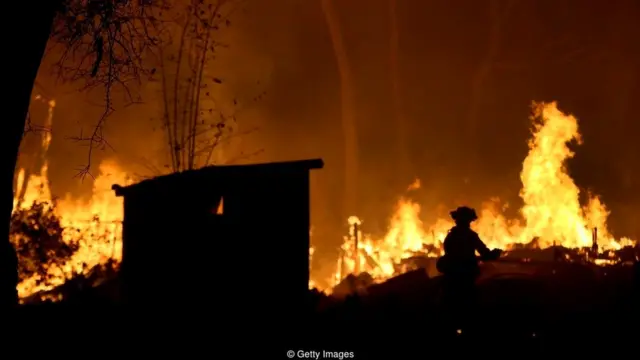 जंगल के आग पर काबू कैसे पाया जा सकता है?