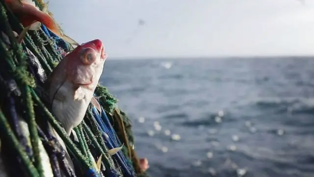 การประมง