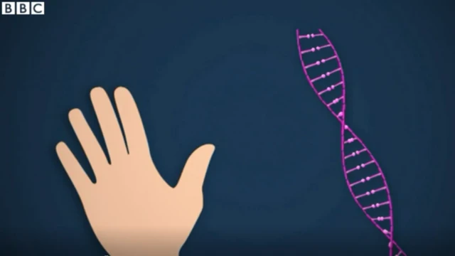 মানুষ বামহাতি হবে কিনা সেটা নির্ভর করে জীনের ওপর।