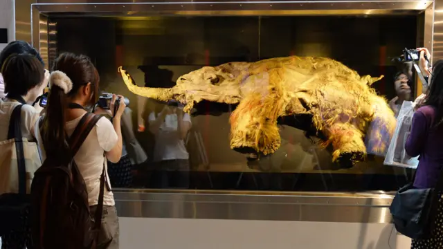 Yuka rodeado por visitantes a una exhibición con cámaras de fotos