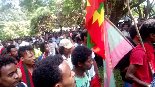 Dargaggota Baakkoo Tibbeetti itti makamanii imalaa fi gaggeessaa jiran