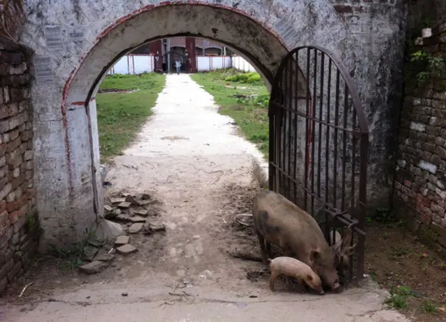 gate