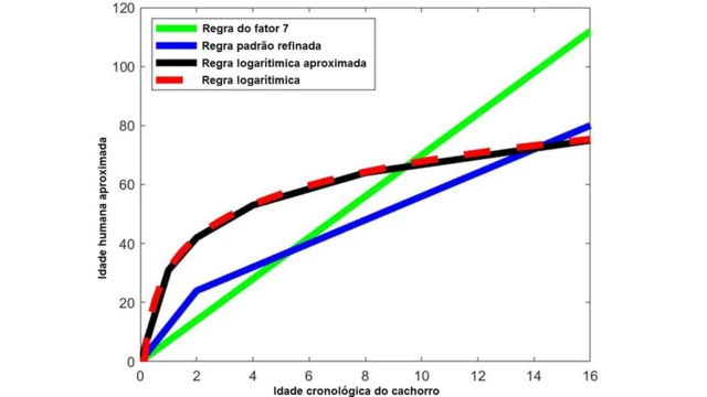 Gráfico compara idadegreenbet predictionhumanos com agreenbet predictioncães