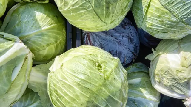 Хто такі овочі та як їх розрізняти? Короткий гід весняною городиною