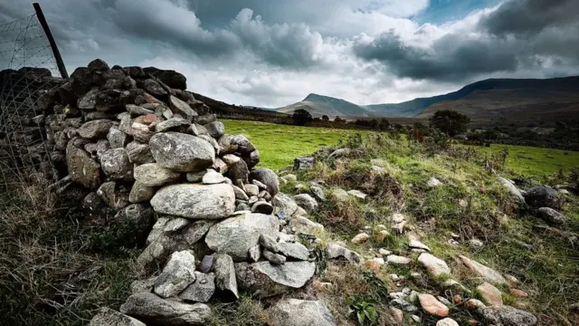 Muro de piedra al lado de unas rejas en medio del campo.