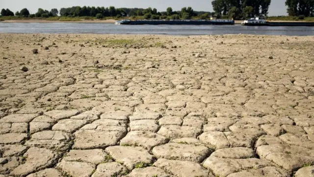 Баржи на Рейне