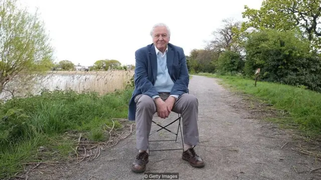 Sir David Attenborough, 92 tuổi, tin tưởng chắc chắn rằng ông sẽ đạt tới 100 tuổi- và không có kế hoạch nghỉ hưu.
