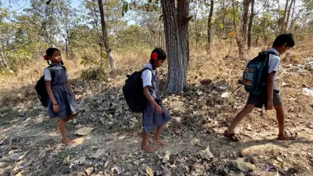 शाळेत पोहचण्यासाठी एकावेळेला तानसा अभयारण्यातून जवळपास तीन किलोमीटरपर्यंत पायपीट या विद्यार्थ्यांना करावी लागते.