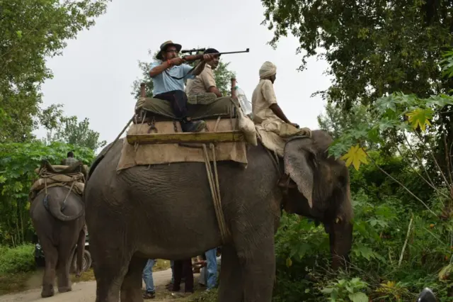 आदमखोर बाघ, शिकार, लखपत रावत