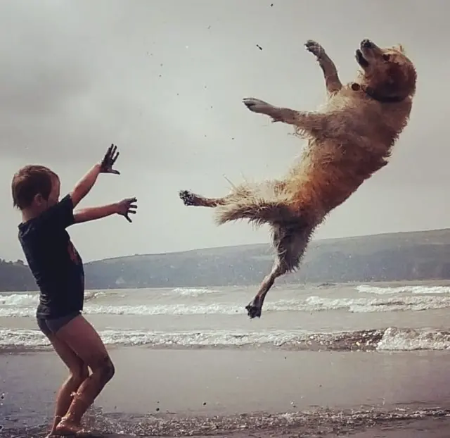 ایک بچہ کتے کے ساتھ