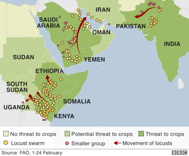 Map showing locusts swarms across parts of Africa and Asia
