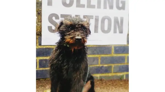 Screen grab of tweet by @dmontfort