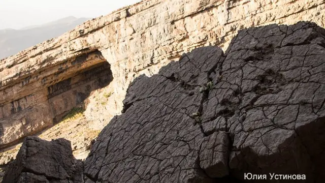 Юлия Устинова фотосурати