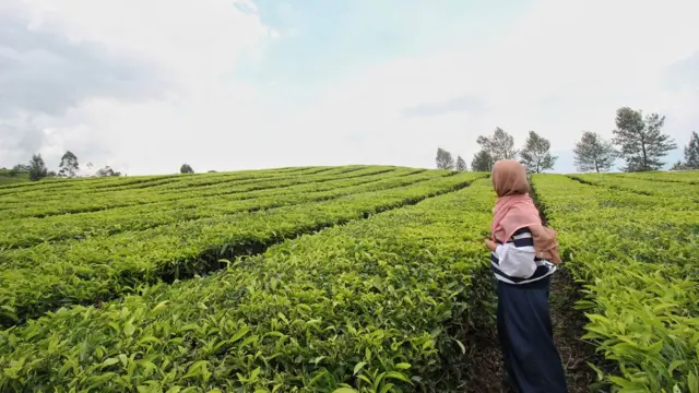 प्रतीकात्मक तस्वीर