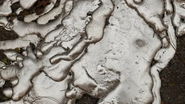 कॅलिफोर्निया आग