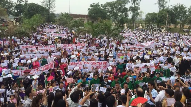 Việt Nam, biểu tình