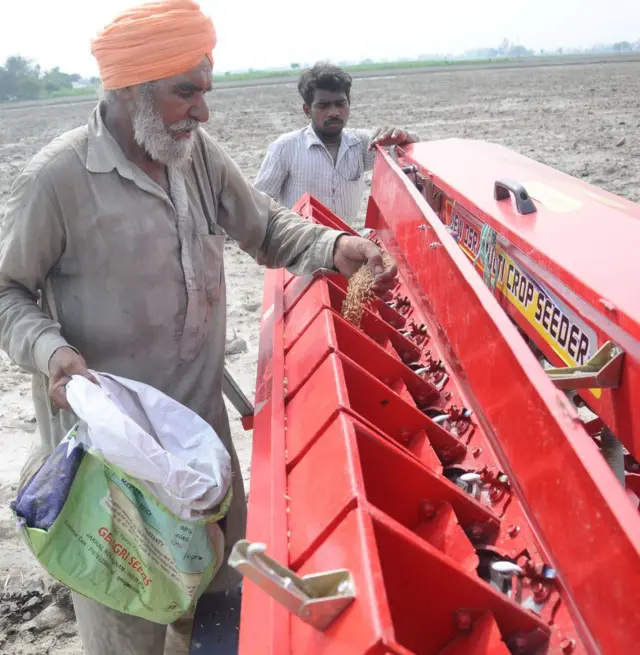 બિયારણ ખરીદી