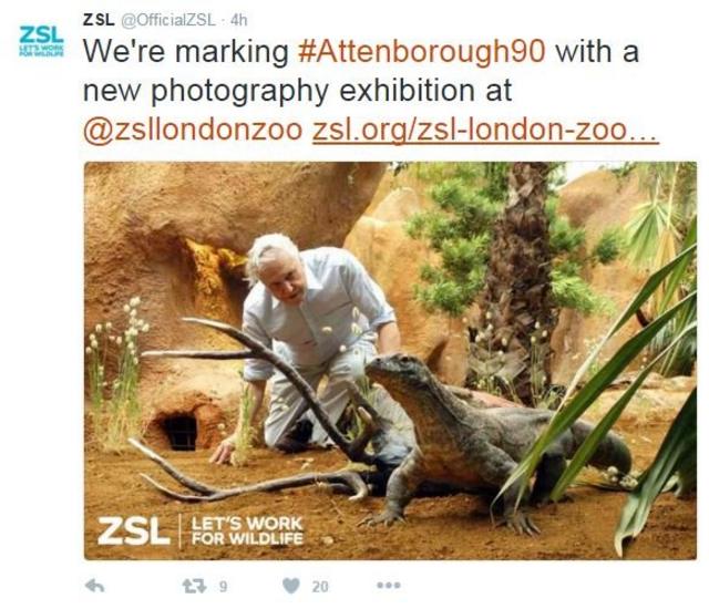 伦敦动物园为艾登堡爵士90大寿举行摄影展览。