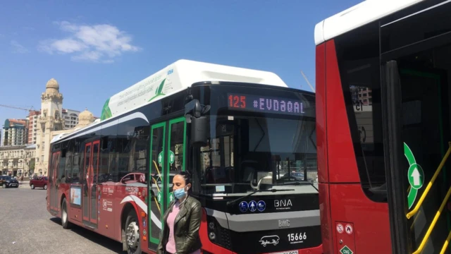 avtobus