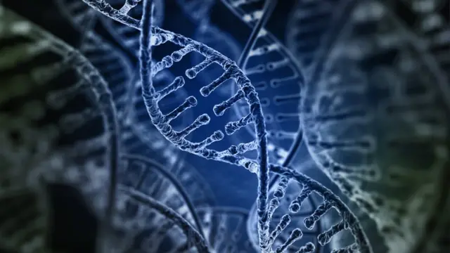 Ilustración de secuencia genética