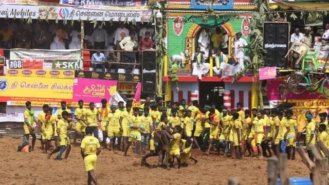 ஜல்லிக்கட்டு