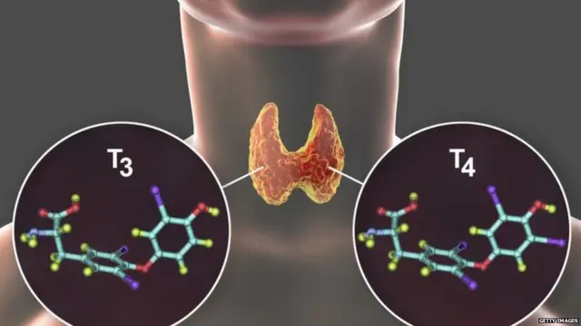 थायरॉइड