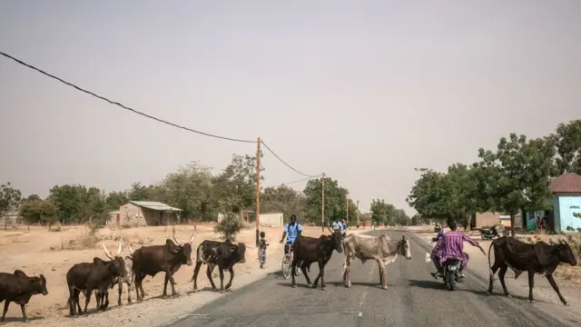 Harkokin kasuwanci sun fara daidaita a kan iyakar KAmaru da Najeriya saboda fara wanzuwar zaman lafiya