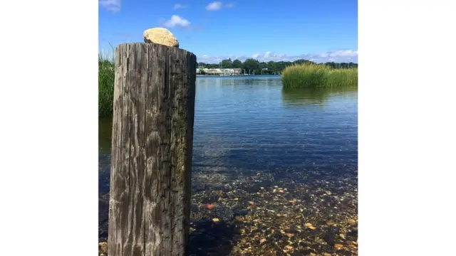 Foto de un lector de BBC Mundo por el tema "verano"