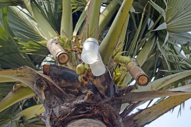 బొంగులో కల్లు