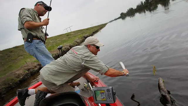 Nelayan sedang berupaya membunuh ikan gabus di Florida
