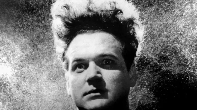 دینو د لاورنتیس، تهیه کننده فیلم قبلی دیوید لینچ از او خواست فیلمی بسازد شبیه فضای اولین فیلم بلندش به نام "کله پاک کن" محصول ۱۹۷۷