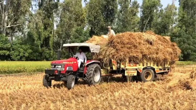 ਕੋਰੋਨਾ ਦੌਰਾਨ ਖ਼ੇਤੀ