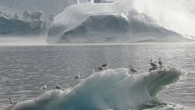 பனி உருகுதல்