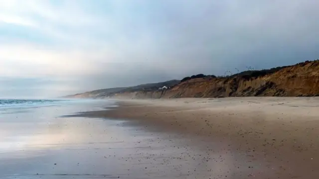 Le sable de Matalascañas, le long de la Playa de Castilla en Espagne, est habituellement sillonné d'empreintes de touristes et de chercheurs de soleil.