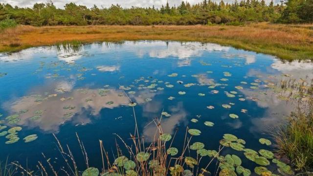 Brejo pertomelhores jogos cassino onlineAarhus, na Dinamarca
