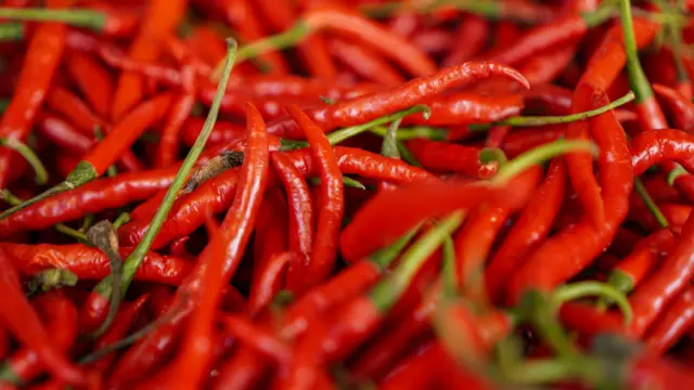 మిరప కాయ