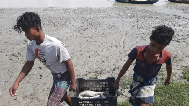  নৌকা থেকে মাছ নেয়া হচ্ছে বাজারে। 