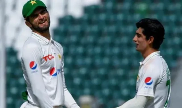 شاہین اور نسیم