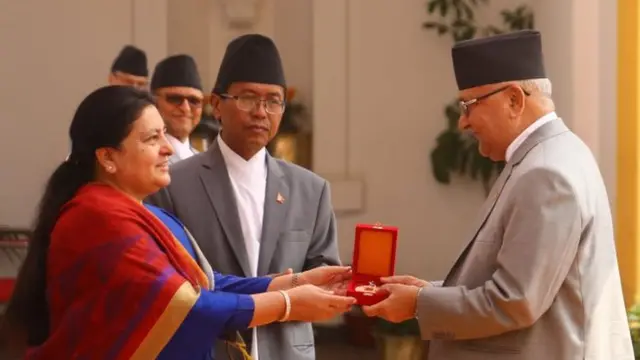 संविधानसभा पदक