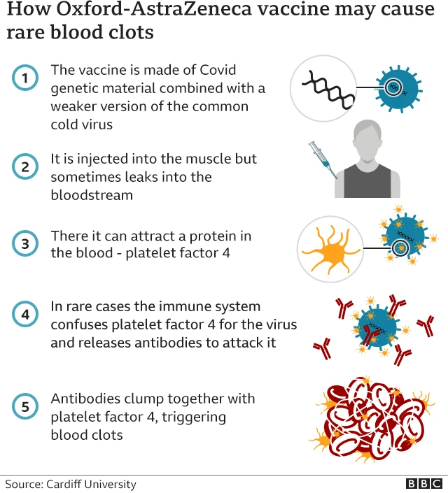 Graphic explaining how blood clots form