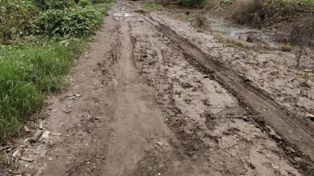 सांगली, कोल्हापूर