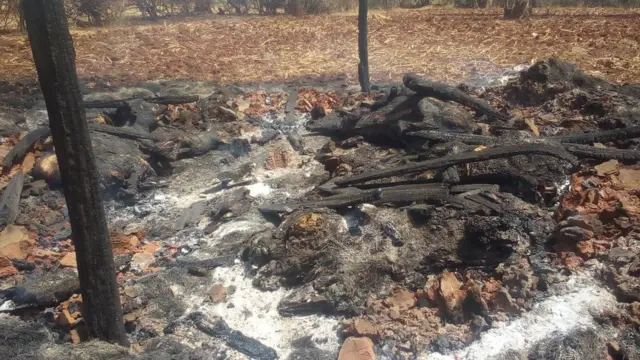 Horii mana keessatti abiddaan gubatan