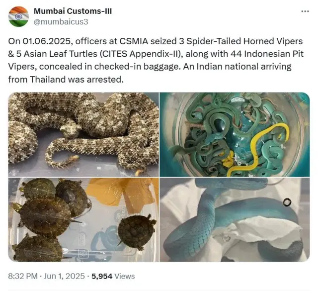 मुंबई के कस्टम डिपार्टमेंट की एक्स पोस्ट.