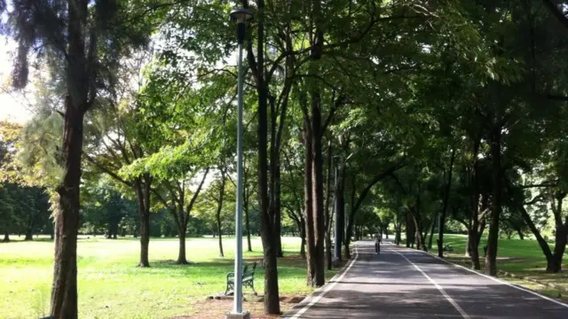 สวนรถไฟ