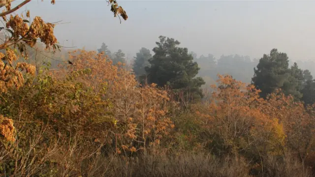 آلودگی هوای کابل